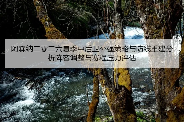 a-sen-na-er-ling-er-liu-xia-ji-zhong-hou-wei-bu-qiang-ce-lve-yu-fang-xian-chong-jian-fen-xi-zhen-rong-tiao-zheng-yu-sai-2-866.jpg